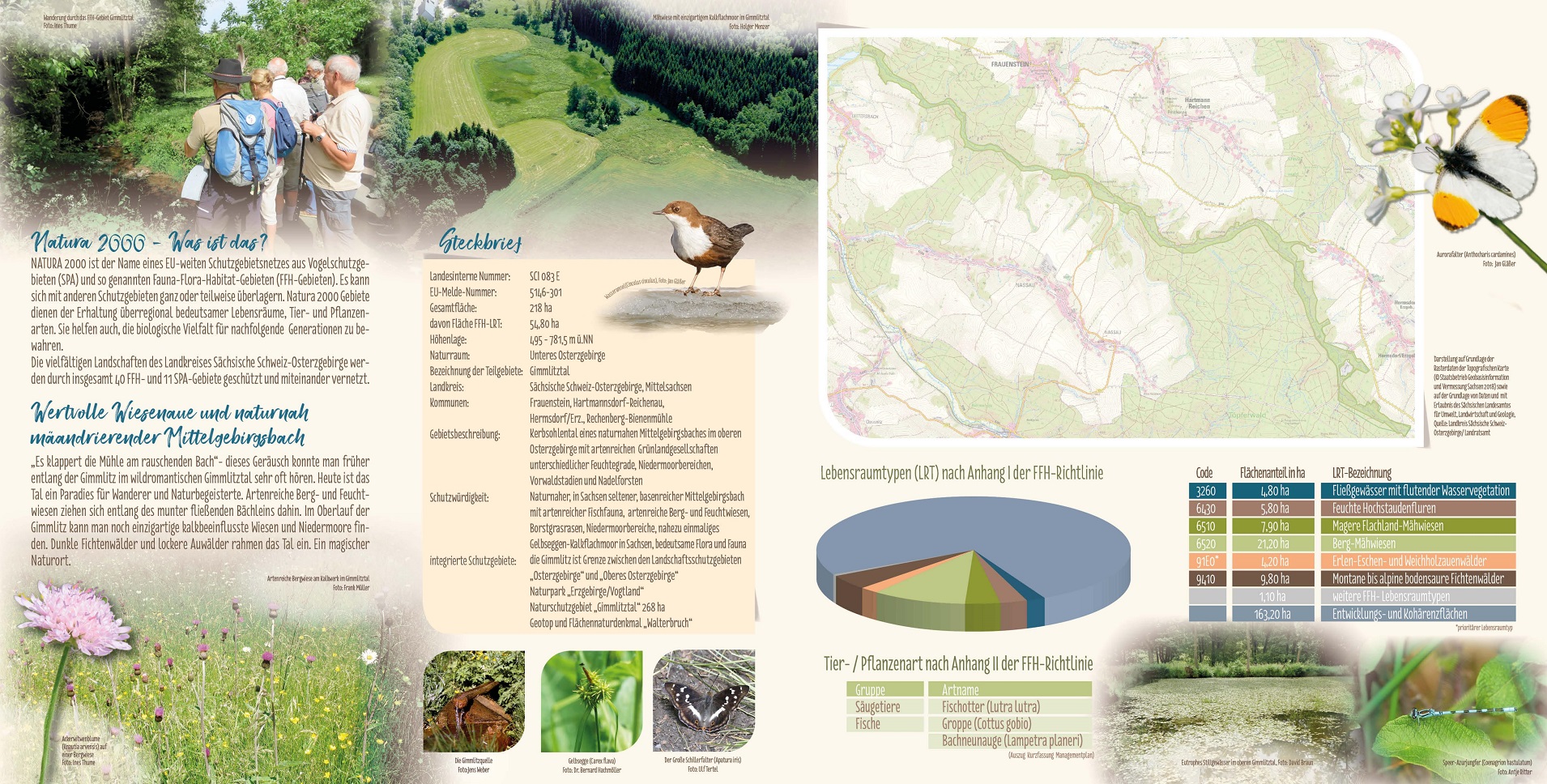 tl_files/downloads/Bilder Projekte/Projektstellen/Natura 2000 1.0/Flyer/Gimmlitztal_2.jpg